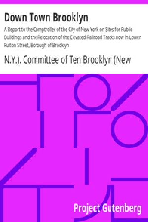 [Gutenberg 33172] • Down Town Brooklyn / A Report to the Comptroller of the City of New York on Sites for Public Buildings and the Relocation of the Elevated Railroad Tracks now in Lower Fulton Street, Borough of Brooklyn